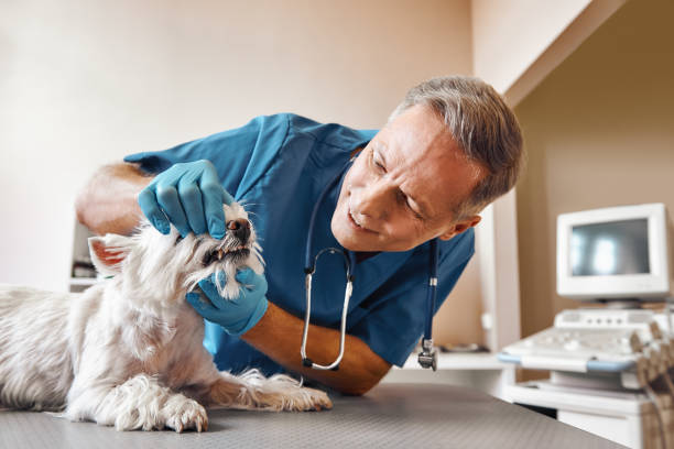 Best Dentist for Tooth Abscess  in Ridgely, MD